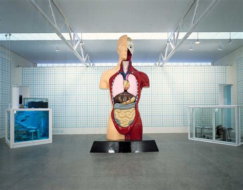 damien hirst theory